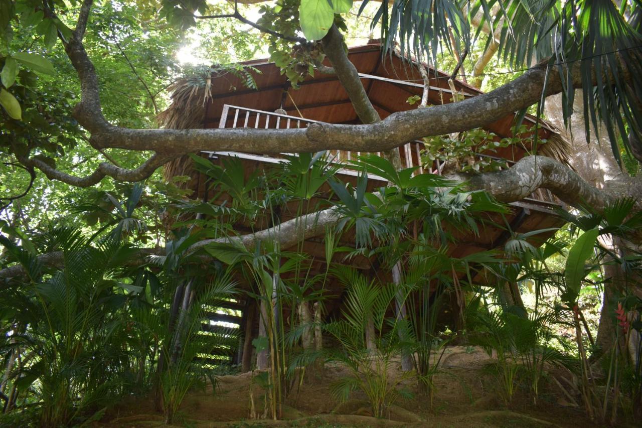 Ecohostal Rio Piedra El Zaino Exterior photo