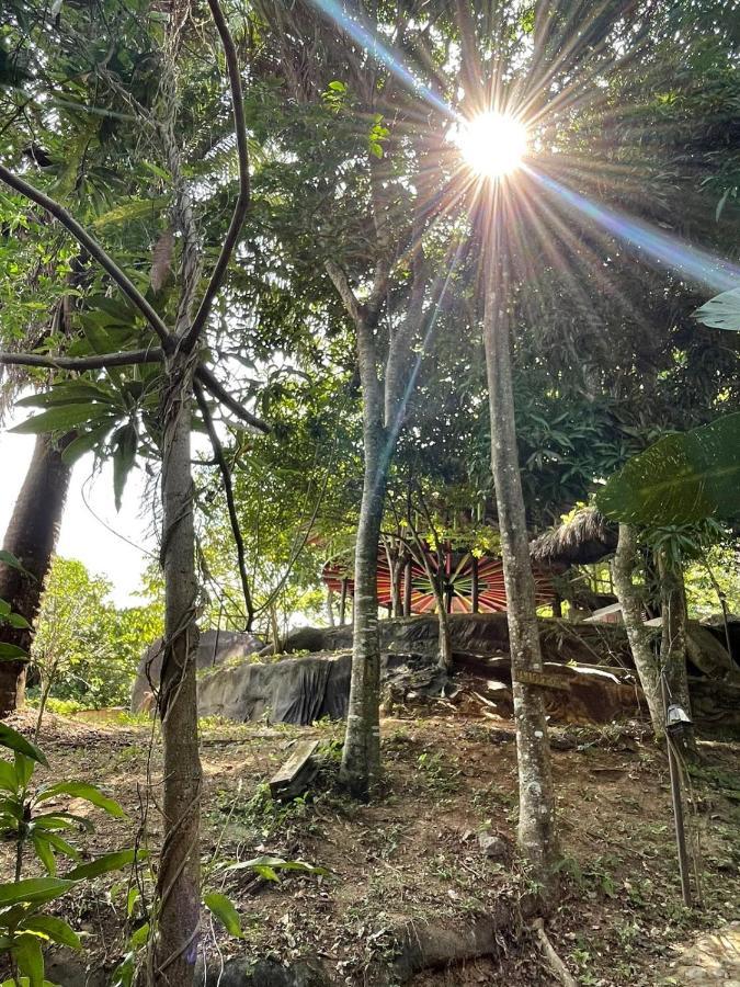 Ecohostal Rio Piedra El Zaino Exterior photo